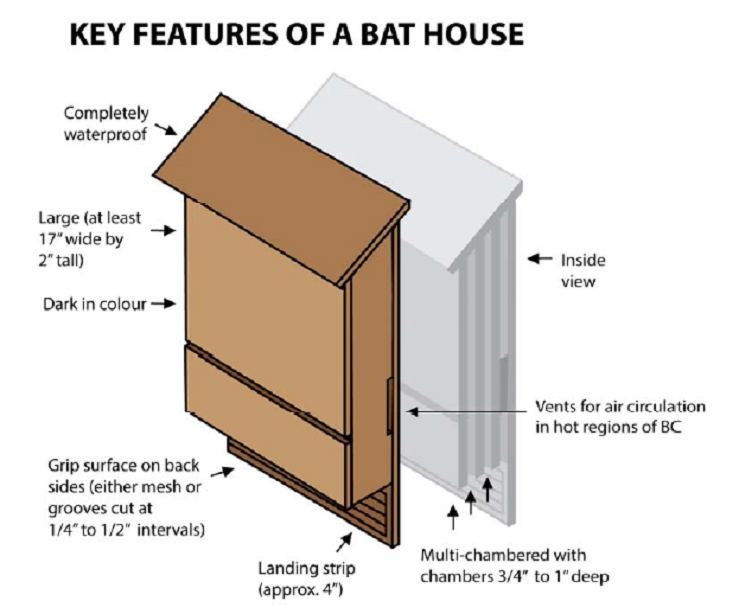 Bat Houses Denman Conservancy Association